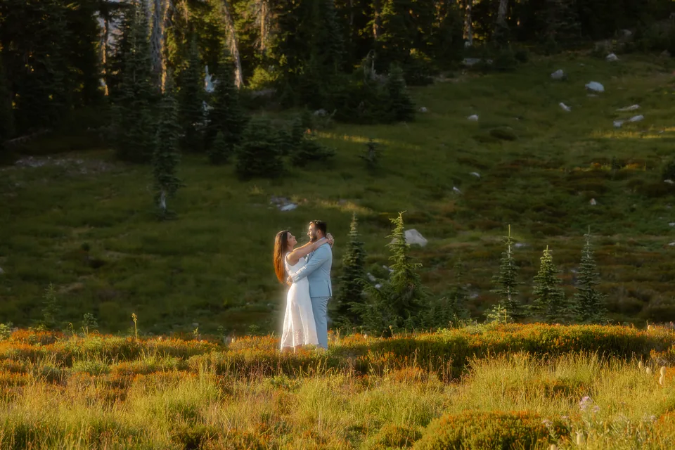 Vaibhav and Tonakshi embracing among wildflowers and evergreen trees