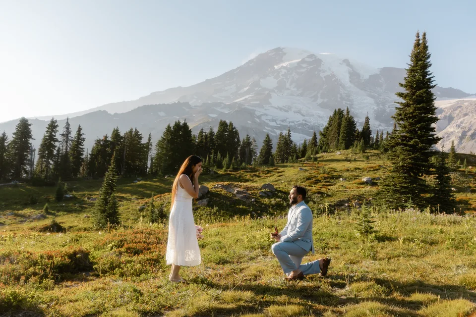 Vaibhav proposing to Tonakshi in a meadow beneath a mountain